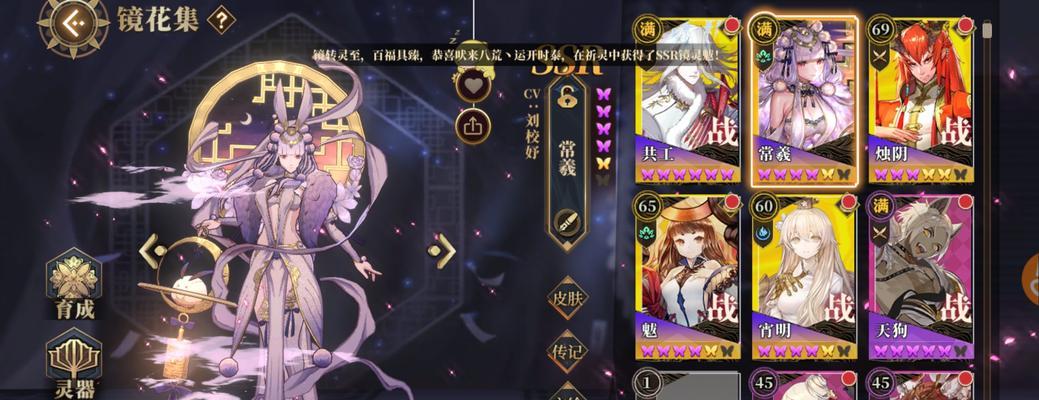 搭配攻略（以游戏为主，探寻最佳组合）