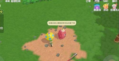 摩尔庄园手游黑森林宝箱位置图文攻略（全面解析黑森林宝箱位置，让你轻松获取珍贵装备）