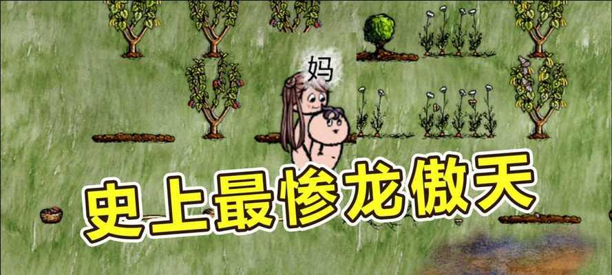 华夏人生（从游戏出发，掌握人生每个阶段的必备技能）