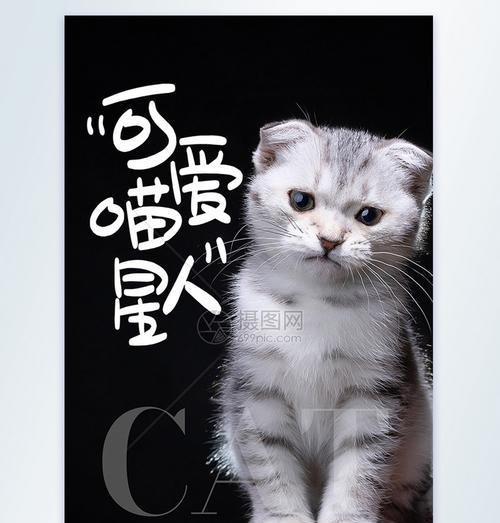 猫咪大冒险——以爱江山更爱美人猫咪的星级评定（用游戏来测试你对猫咪的热爱程度，分分钟成为猫奴！）