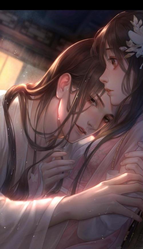 《灵猫传花笺》攻略大全（培养技巧、玩法详解、抢占天梯高地）
