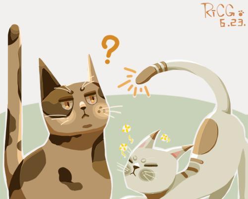 玩转灵猫传，如何使用逗猫棒让小花园的猫咪高兴起来（以游戏为主，让逗猫棒成为你和猫咪互动的利器）