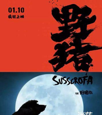 猪年狂欢，猪猪玩家玩转野猪牧野猪牧！