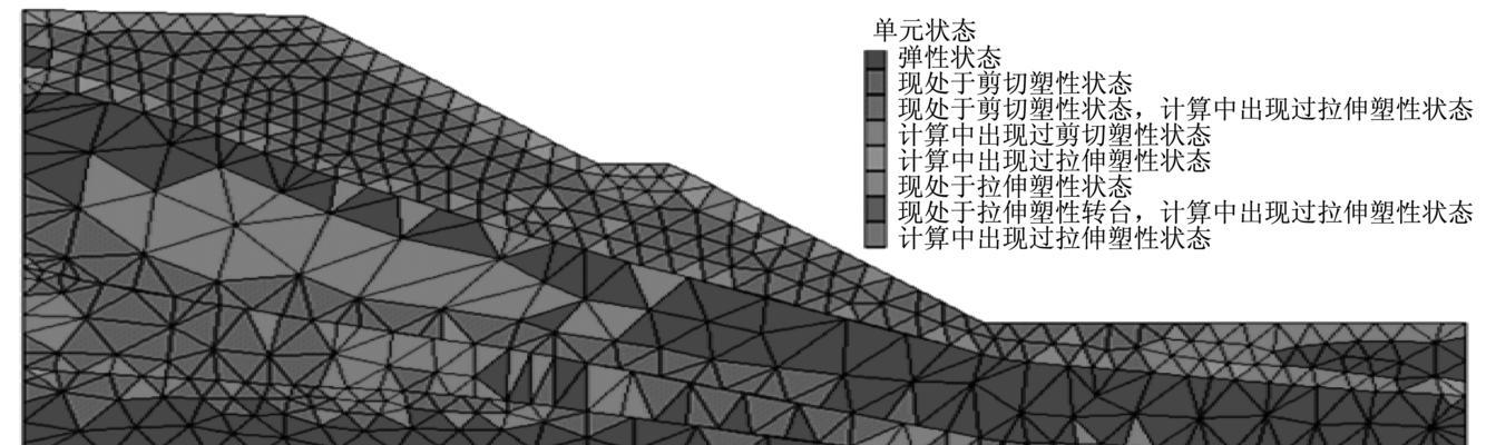 猪年狂欢，猪猪玩家玩转野猪牧野猪牧！
