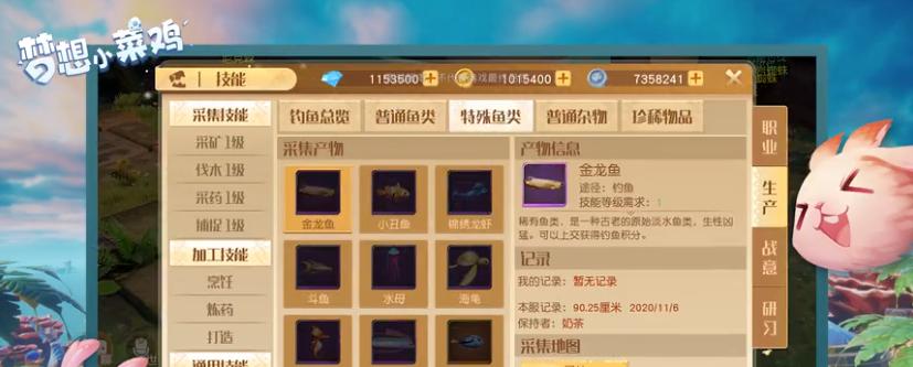 《探索梦想新大陆的宠物世界》(以梦想新大陆宠物资质为核心的游戏探索)