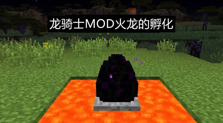 《梦想新大陆奇遇任务》之龙蛋大搜查（用智慧挖掘龙蛋位置，收获神秘奖励）