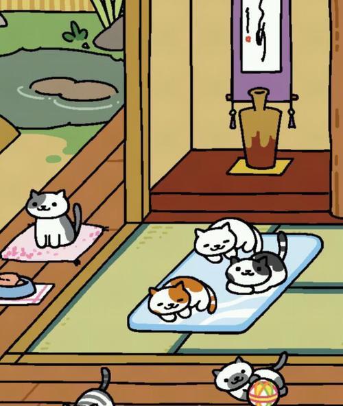 猫咪后院拍照指南（如何捕捉猫咪最美的瞬间）