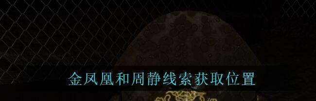 解开金凤凰谜底——以孙美琪疑案为线索的游戏探险（发现谜底的方法和技巧，轻松解开金凤凰谜团，点燃你的侦探热情）