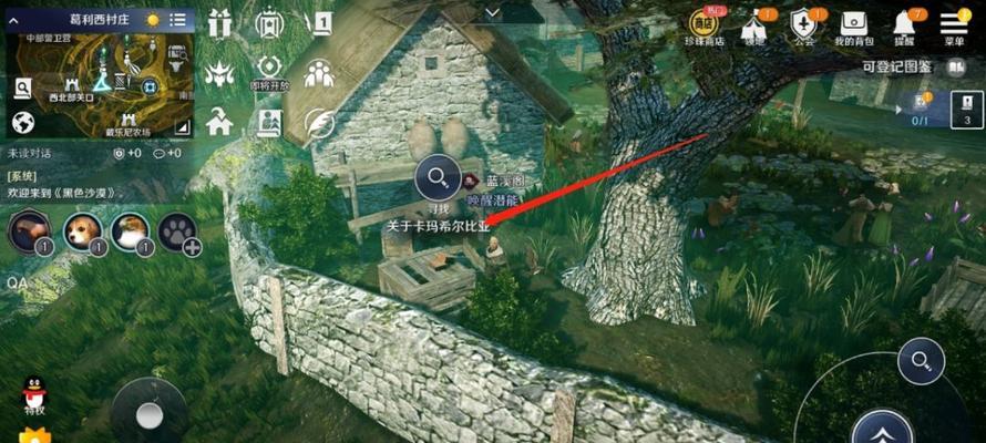 《探秘黑色沙漠手游玫瑰获得途径》（玩家必看的黑沙手游攻略）