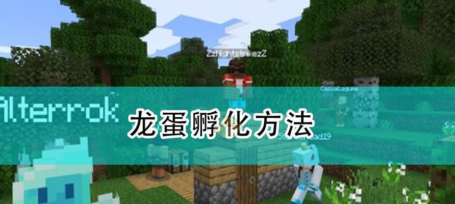《我的世界》游戏命名牌使用指南(探索命名牌的奇妙世界)