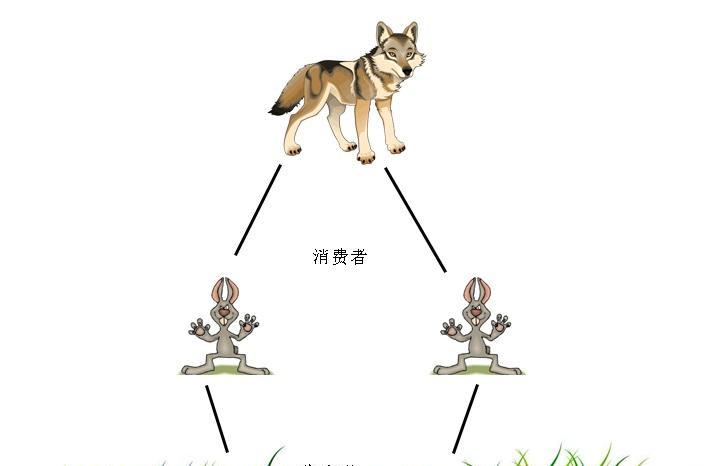 豺兔游戏第九关完美通关攻略（以死无对证）