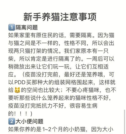 小森生活养猫攻略（小森生活养猫游戏中的养猫技巧）