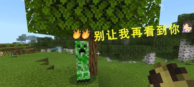 我的世界中的豹猫(探索豹猫在游戏中的驯服过程及注意事项)