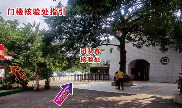 电子基盘配牌出血秘籍，助你游戏获胜（掌握最佳配牌策略）