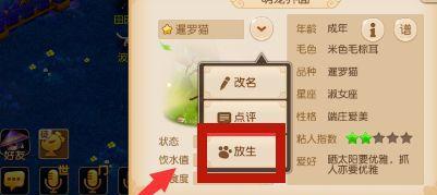 《梦幻西游手游》高速宝宝攻略（高速宝宝培养介绍）