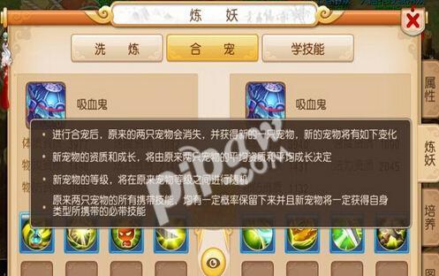梦幻西游手游吸血鬼加点攻略（打造最强吸血鬼）