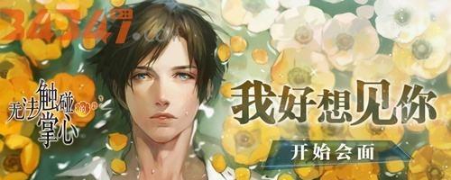 《无法触碰的掌心葵结局攻略（揭秘以游戏为主的《无法触碰的掌心葵》中的全部结局和注意事项）