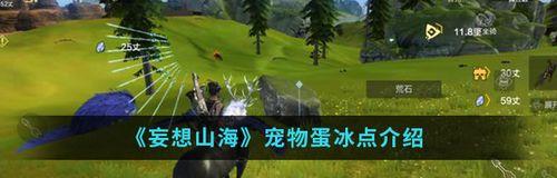 《妄想山海宠物快速升级指南》（游戏中宠物升级的技巧与方法）