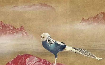 《神都夜行录》中长有鱼身却有鸟翅膀的异兽——奇特的叫声揭开谜团（探秘游戏《神都夜行录》中的叫声之谜）