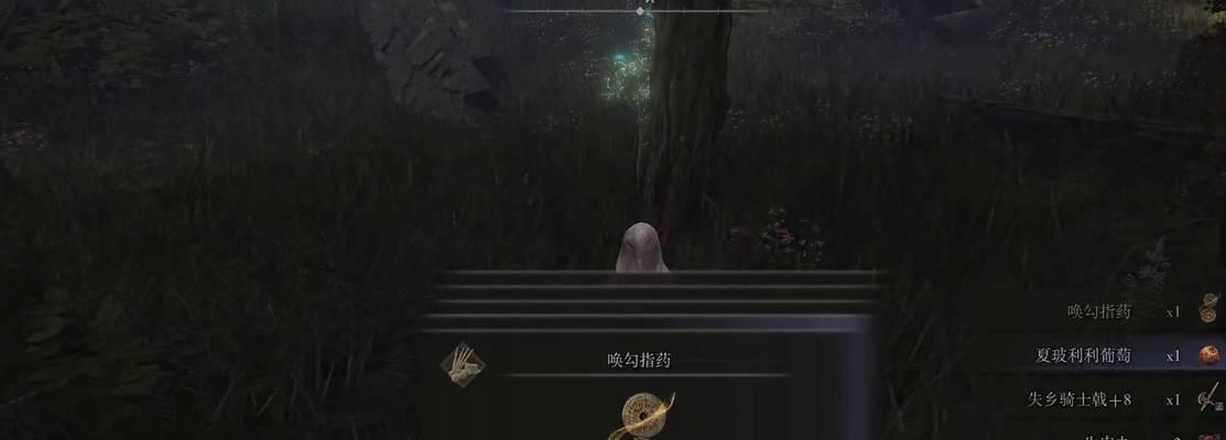 艾尔登法环如何快速升级人物等级？有哪些有效的升级技巧？