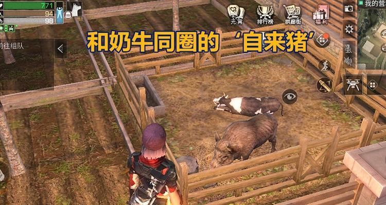 明日之后2月29日开个箱金钥匙答案是什么？如何获取？