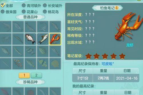 《神武》游戏成长全流程是怎样的？有哪些常见问题需要解决？