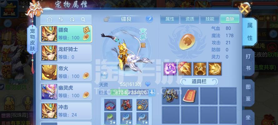 《神武》宠物护符技能有哪些？如何合成宠物护符？