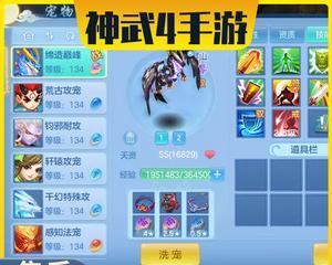 《神武》中如何给神兽打书？打书技能有哪些常见问题？