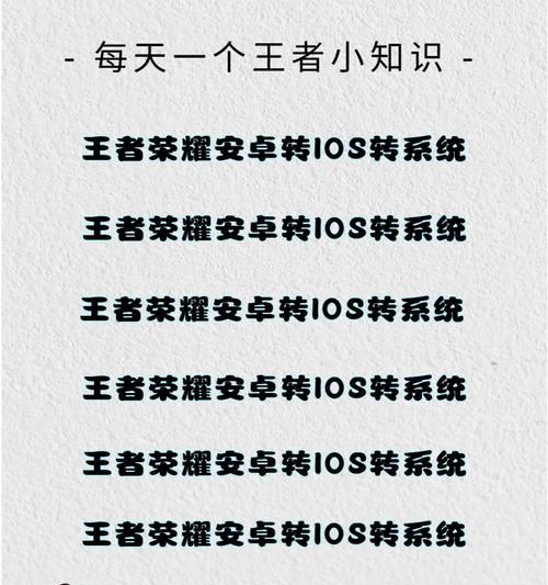 梦幻西游阳光闪耀能转哪个区？如何操作？