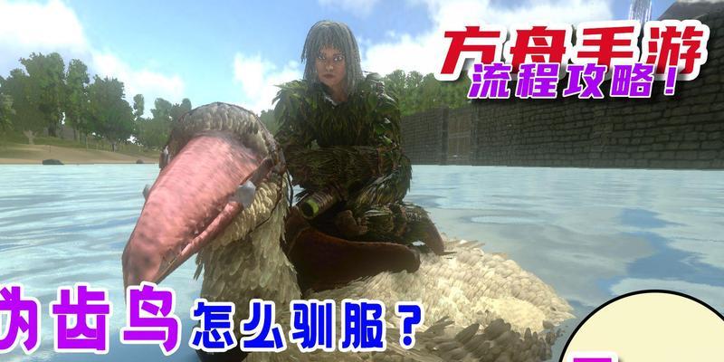 平板设备无法运行方舟手游的原因是什么？