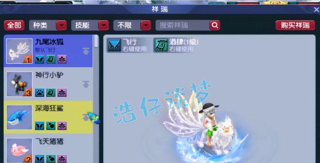 圣灵之甲在梦幻西游中能提升多少防御力？如何获得？