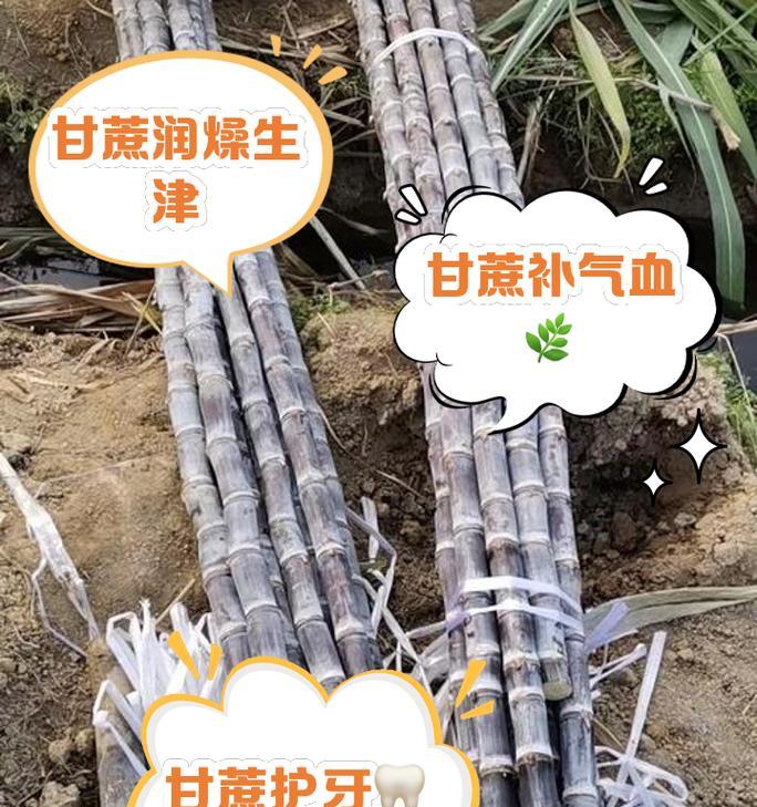 如何加快我的世界中甘蔗的生长速度？