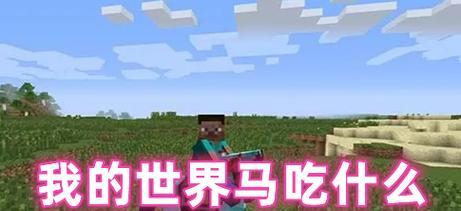 在《我的世界》中马如何正确上鞍？