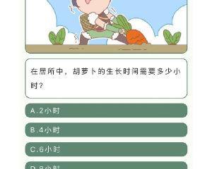 问道羽化加速的方法是什么？