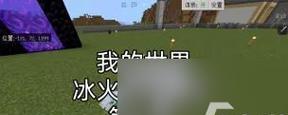 在《我的世界》中如何正确喂养猪？有哪些喂养技巧？