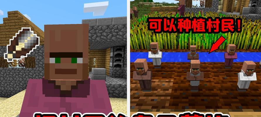 在《我的世界》中如何正确喂养猪？有哪些喂养技巧？
