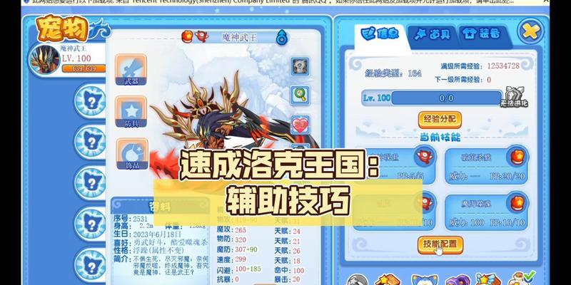 洛克王国辅助工具使用方法是什么？