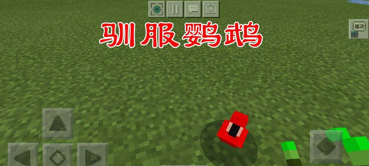 我的世界中鹦鹉如何救助？救助鹦鹉的正确方法是什么？