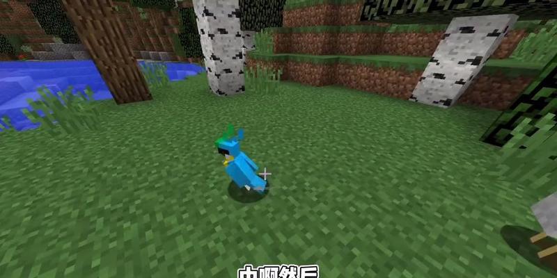 我的世界中鹦鹉如何救助？救助鹦鹉的正确方法是什么？