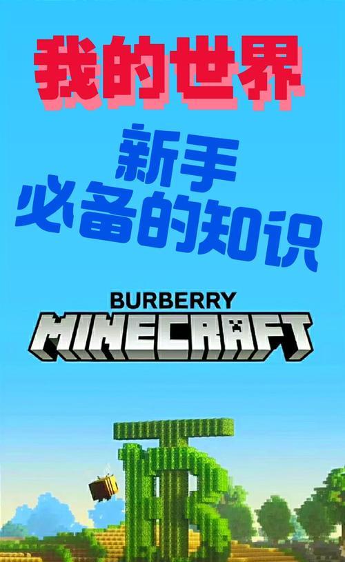 我的世界感染主世界怎么进？进入感染主世界的步骤和注意事项是什么？