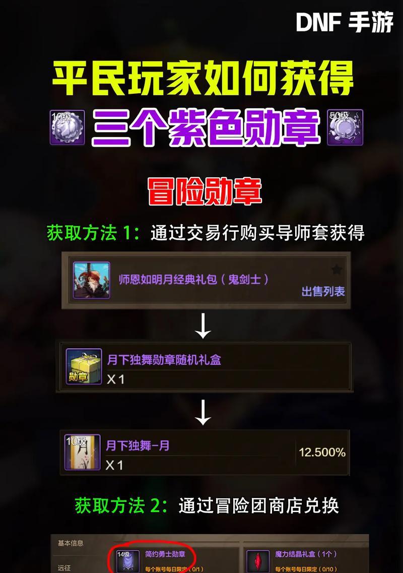 dnf手游勋章在哪个版本中可用？