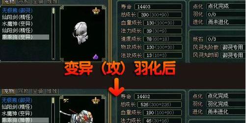 问道手游羽化熊猫获取方法是什么？