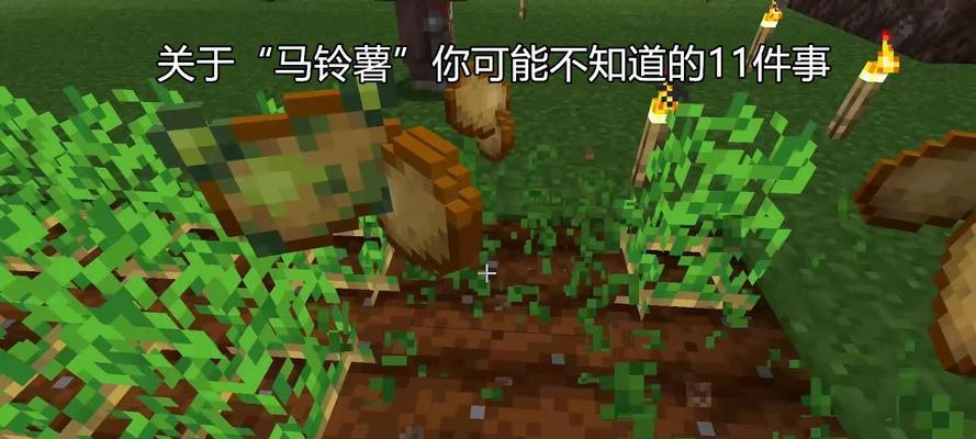 我的世界毒马铃薯世界入口在哪里？如何进入？