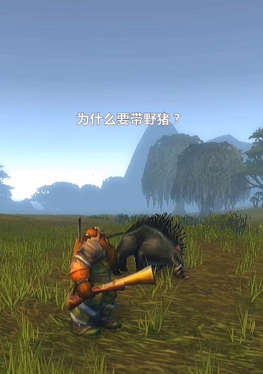 魔兽世界抓的宠物怎么放生？放生步骤是什么？