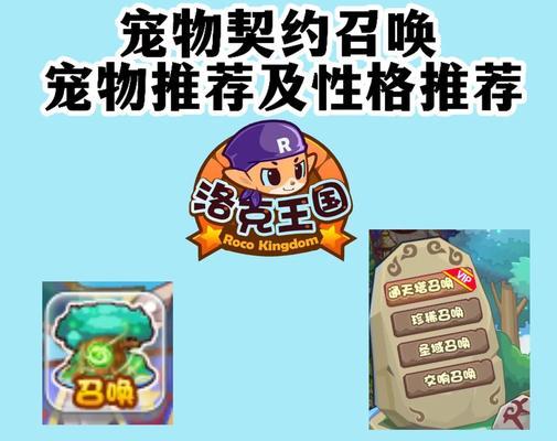洛克王国宠物激活的正确玩法是什么？