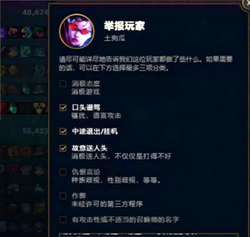 三国杀举报队友时如何提供详细理由？举报成功后会有什么影响？