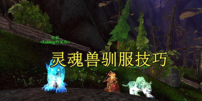 魔兽世界折磨的灵魂获取方法是什么？