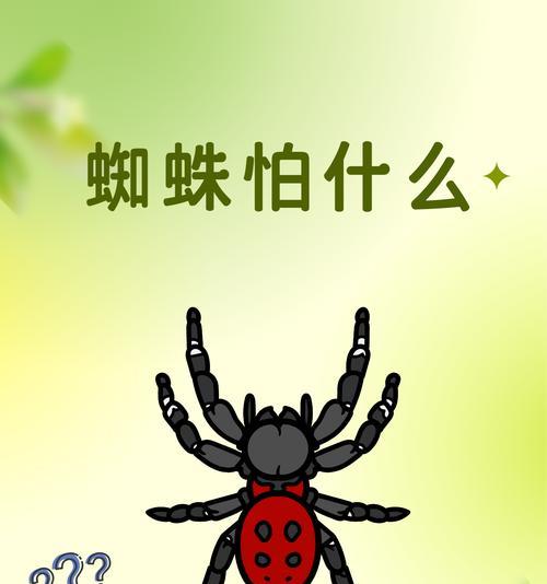 蜘蛛属于哪个阵营？