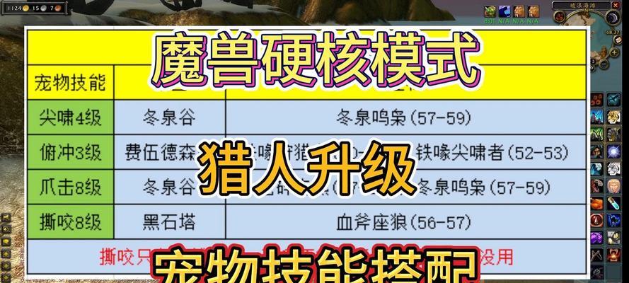 魔兽中宠物训练战斗的方法是什么？宠物战斗技能如何提升？