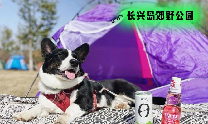 郊野公园中如何进入魔兽区域？有什么特别要求？